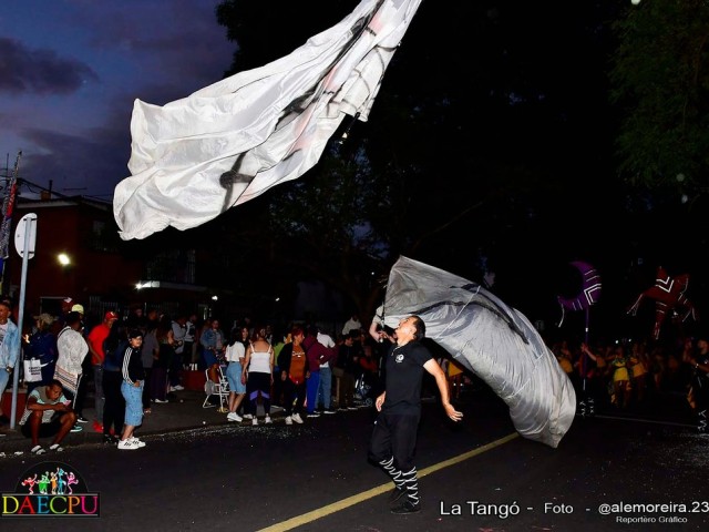 LLAMADAS DAECPU 041